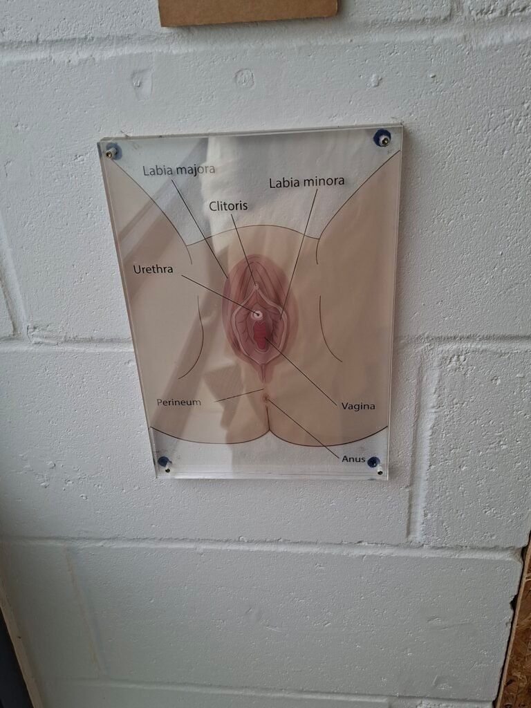 pussy